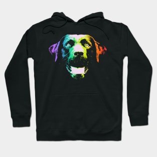 Rainbow Labrador Retriever Hoodie